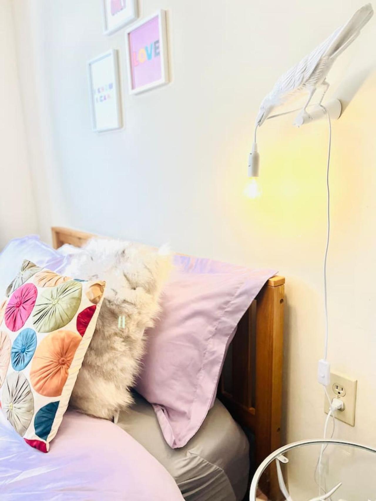 Lotus Family Suite W 2 Beds Kitchenette 4 Shandaken المظهر الخارجي الصورة
